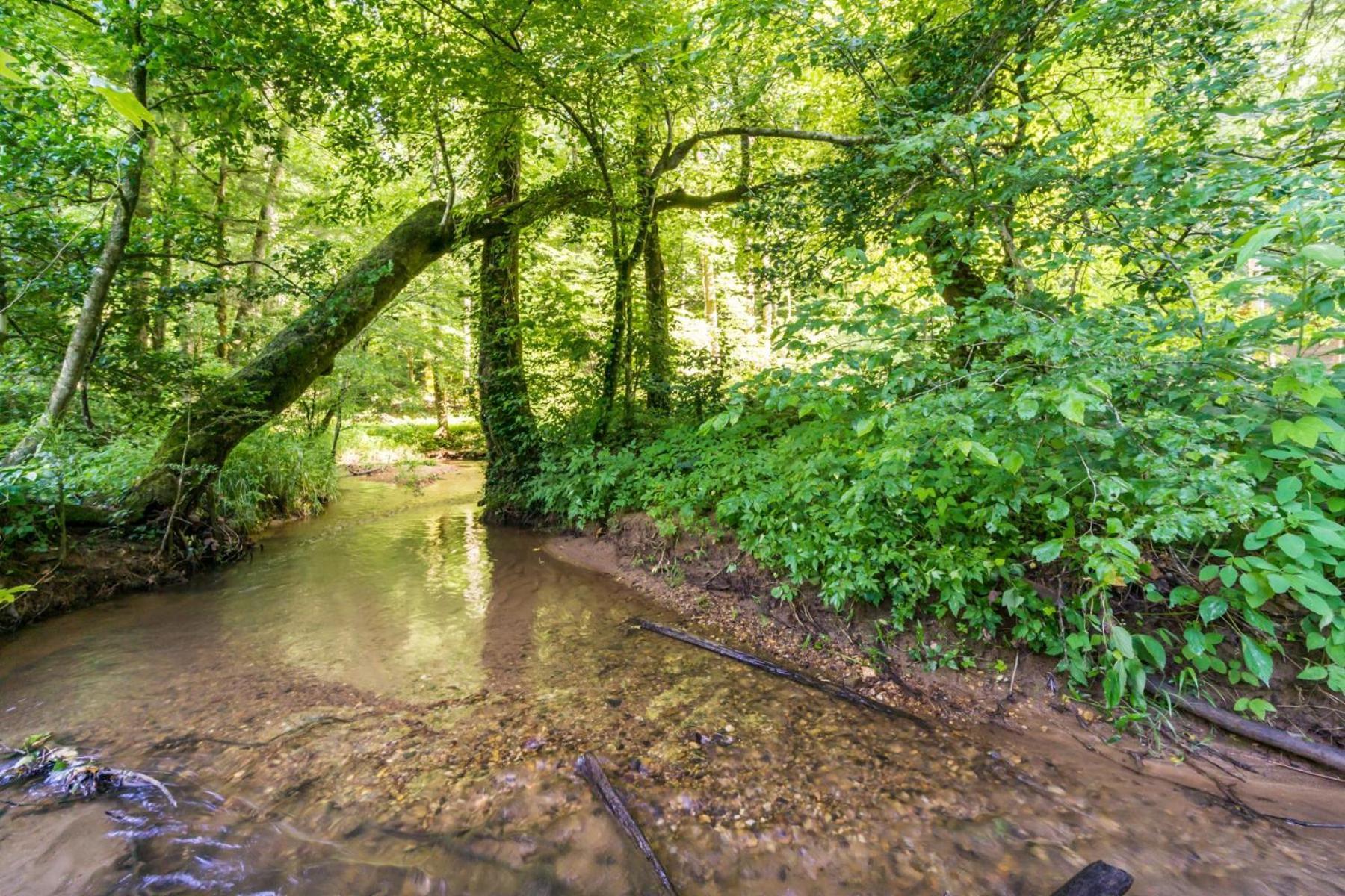 New Listing! Wine Country Retreat - 2 Bed, Hot Tub Βίλα Dahlonega Εξωτερικό φωτογραφία